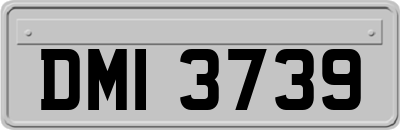 DMI3739