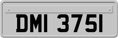 DMI3751