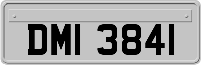 DMI3841