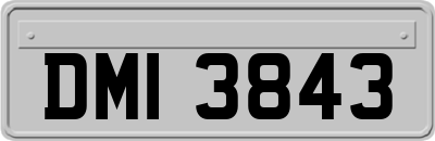 DMI3843
