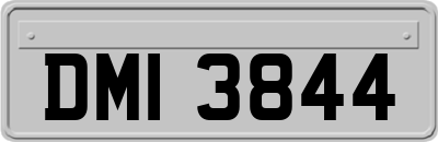 DMI3844