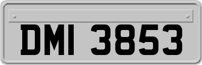DMI3853