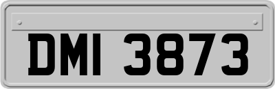 DMI3873