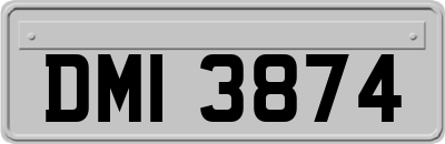 DMI3874