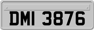 DMI3876