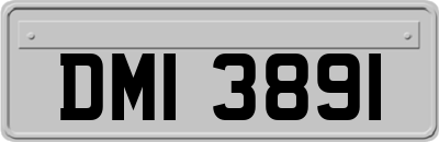 DMI3891