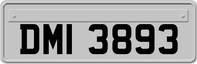 DMI3893