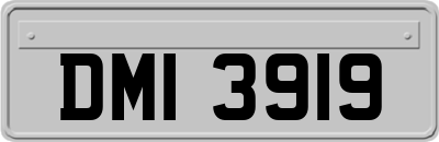 DMI3919