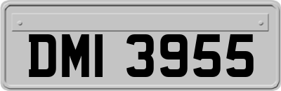 DMI3955