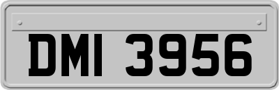 DMI3956