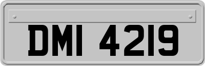 DMI4219