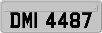 DMI4487