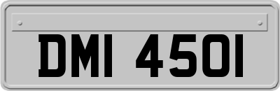 DMI4501
