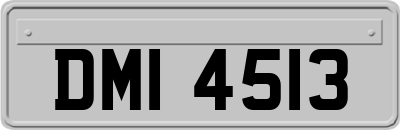 DMI4513