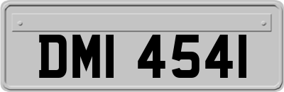 DMI4541