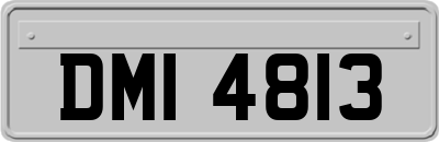 DMI4813