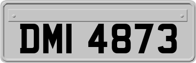 DMI4873