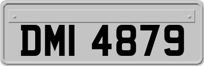 DMI4879