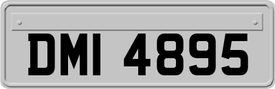 DMI4895