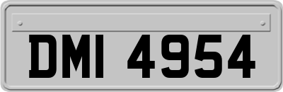 DMI4954