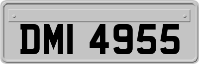 DMI4955