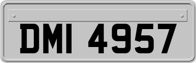 DMI4957