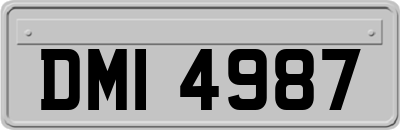DMI4987
