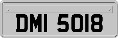 DMI5018