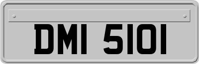 DMI5101