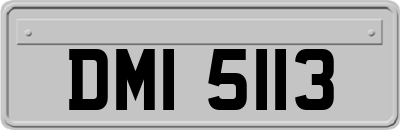 DMI5113