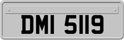 DMI5119
