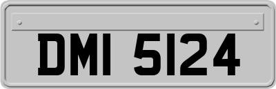 DMI5124