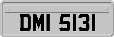 DMI5131
