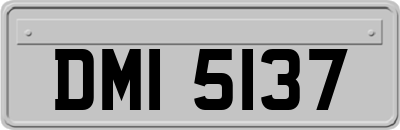DMI5137
