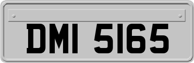 DMI5165