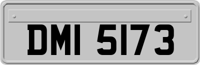 DMI5173