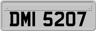 DMI5207