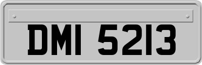 DMI5213