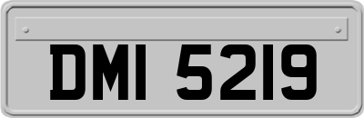 DMI5219