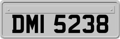 DMI5238