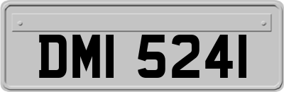 DMI5241