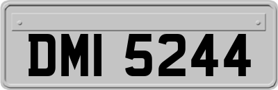 DMI5244