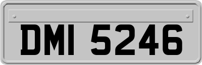 DMI5246