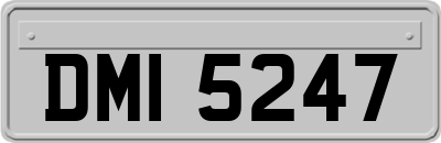 DMI5247