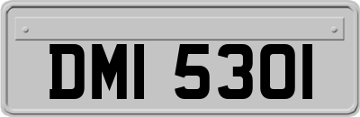 DMI5301