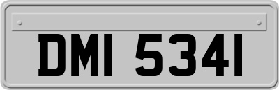 DMI5341