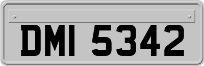 DMI5342