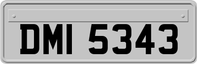 DMI5343