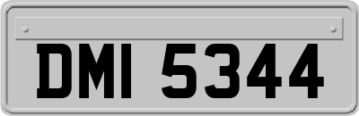 DMI5344