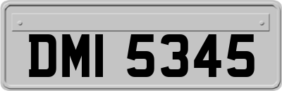 DMI5345